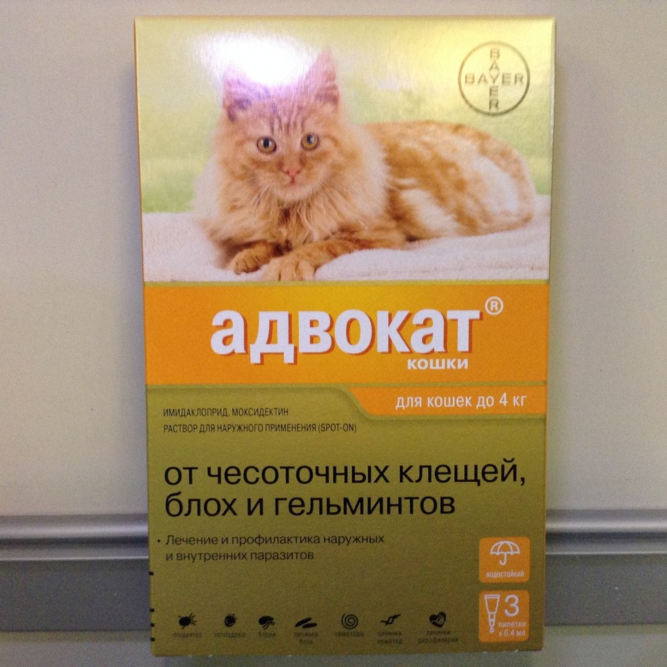 Кошка 4 кг. Адвокат (Bayer) капли от чесоточных клещей, блох и гельминтов для кошек до 4 кг (3 пипетки). Адвокат Bayer для кошек. Bayer адвокат для кошек до 4 кг. Адвокат средство от паразитов для кошек.