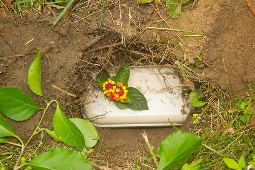 Как похоронить собаку правильно во дворе дома