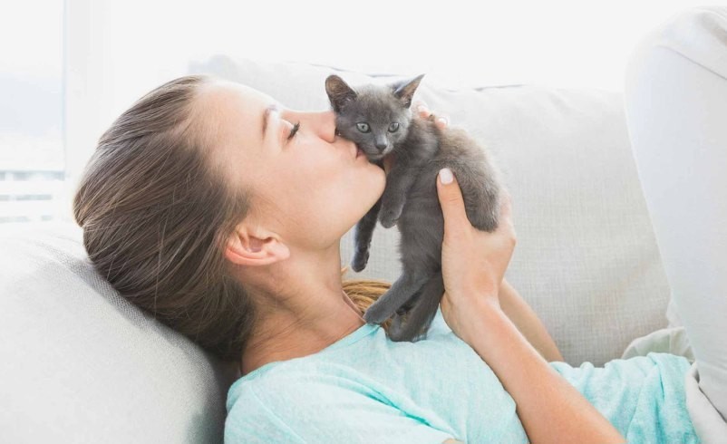 Почему кошка лижет человека: основные причины и что это значит