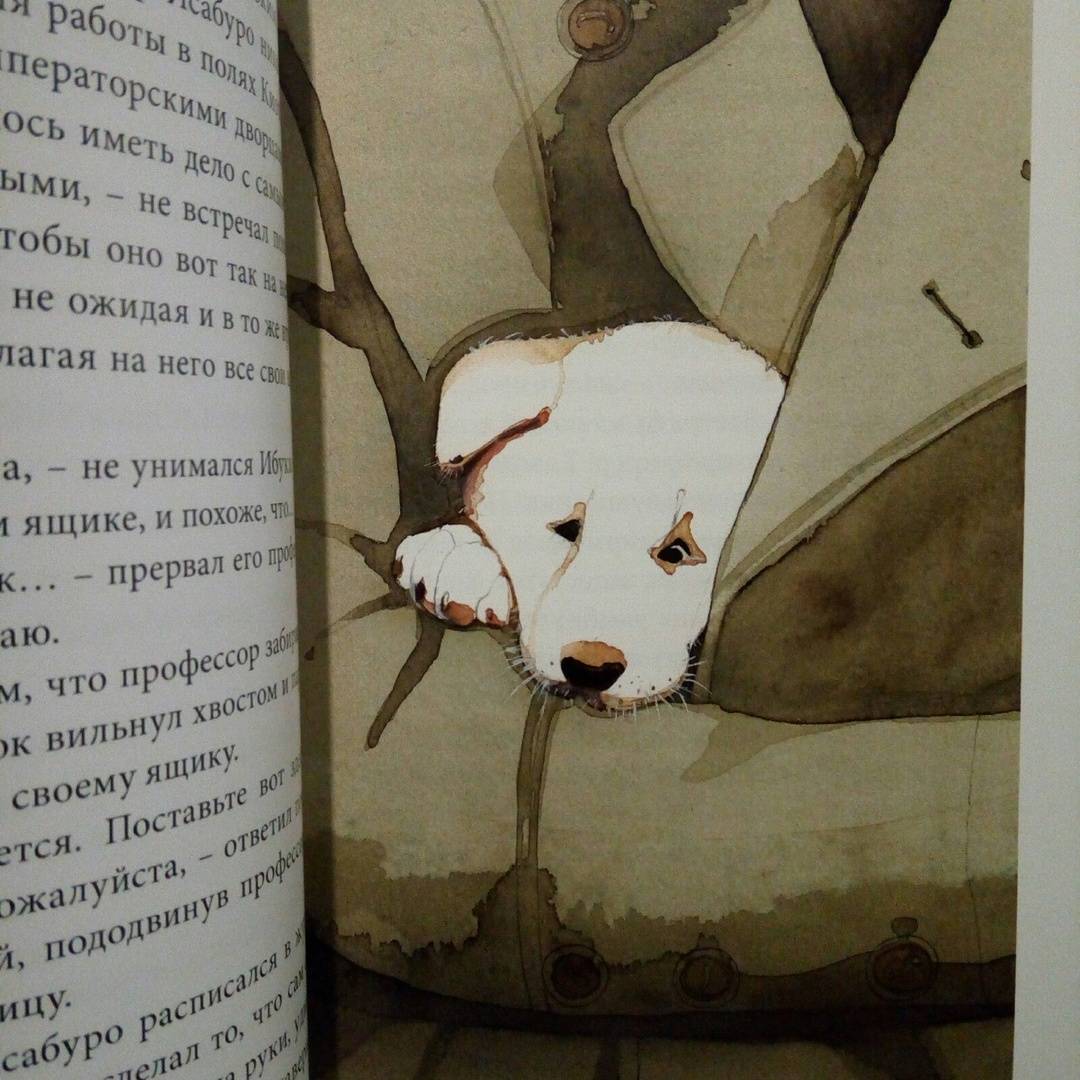 Настоящая история пса, которая легла в основу книги и фильма Хатико