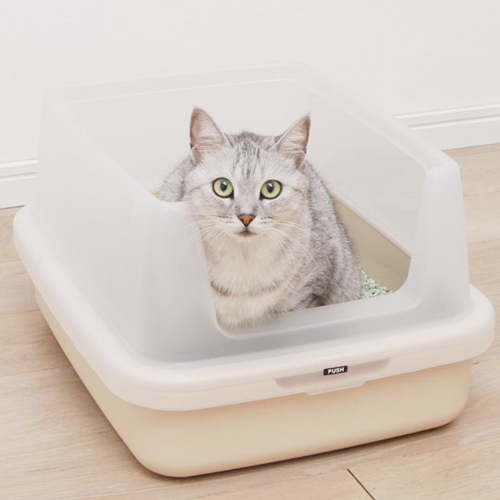 Туалет для кошек: как выбрать лучший