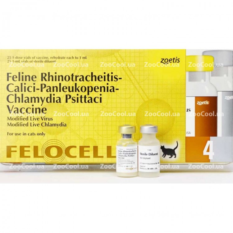 Фелоцел — вакцина для кошек и котов