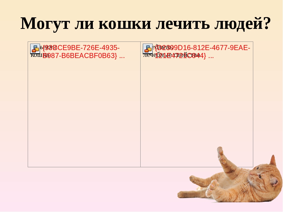 Кошки лечащие людей (фелинотерапия): правда или миф?