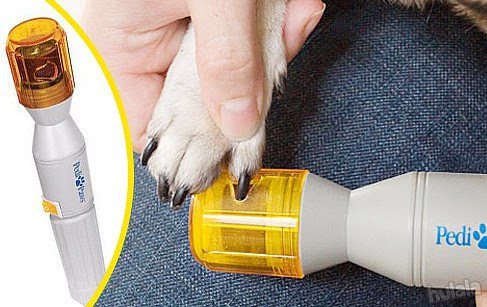 Экспресс линька для собак: как делается в домашних условиях