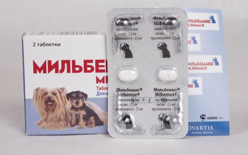 Таблетки от глистов для собак