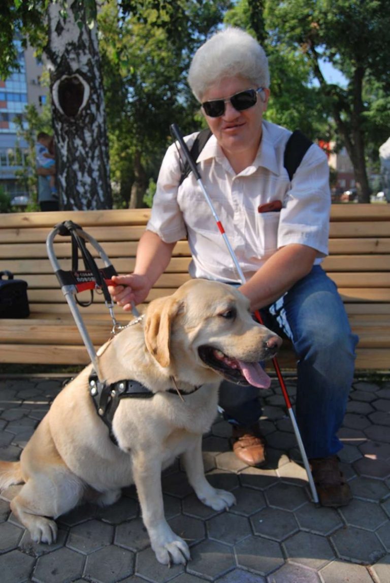 Собака-поводырь для слепых: название породы