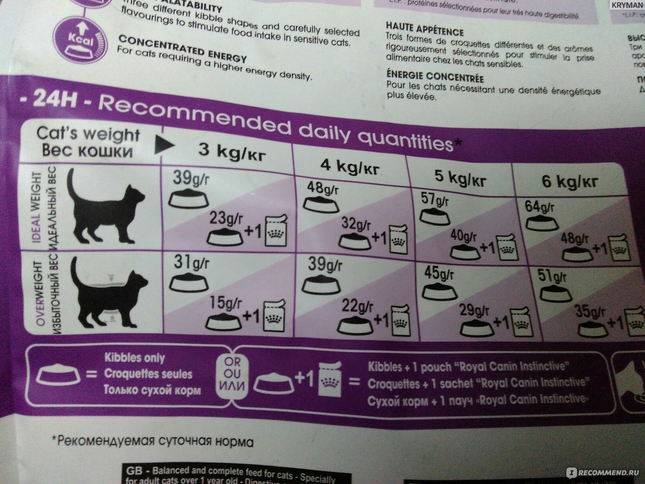 Можно ли кормить кошку сухим кормом