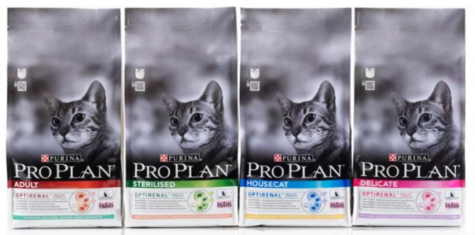 Проплан для кошек и котят: обзор вариантов от Пурина
