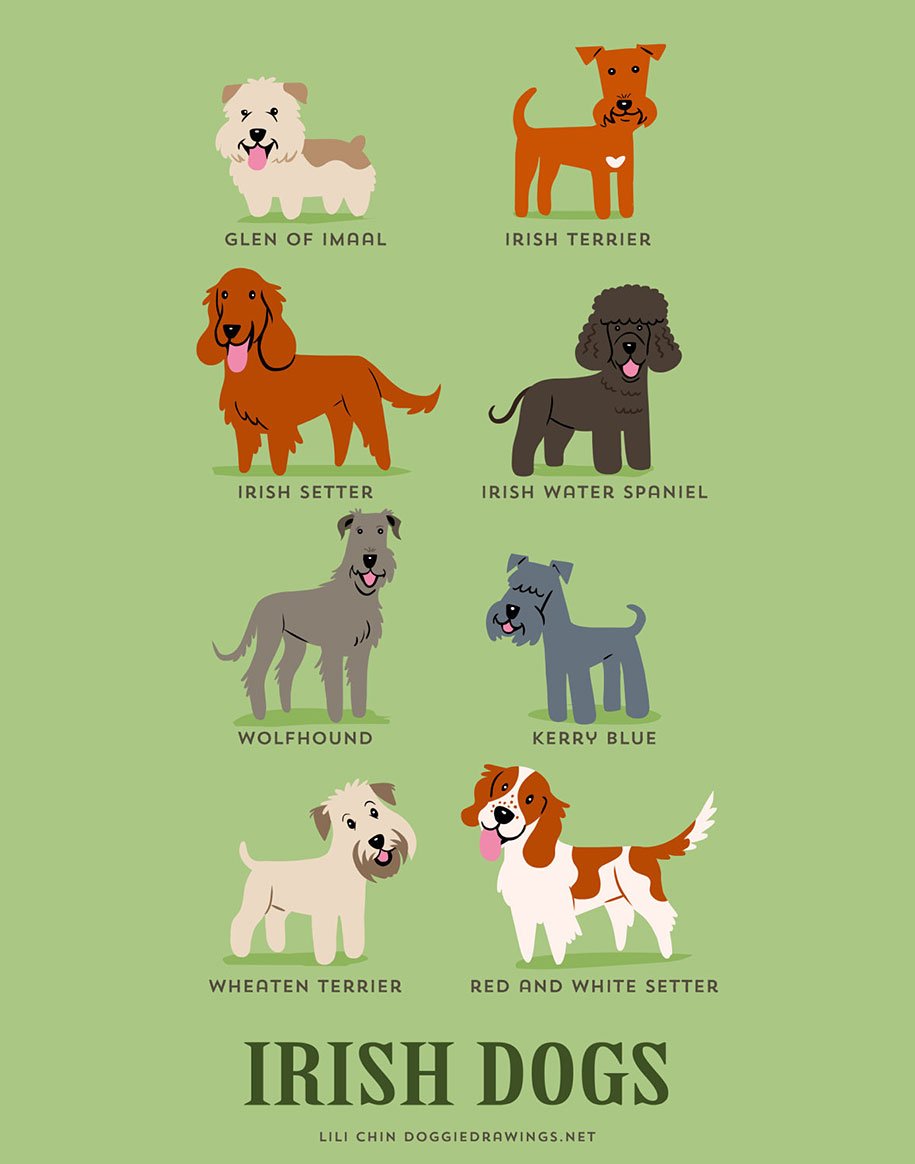 Породы собак средних размеров