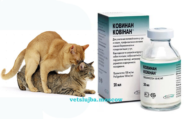 Инструкция по применению ветеринарного препарата Ковинан