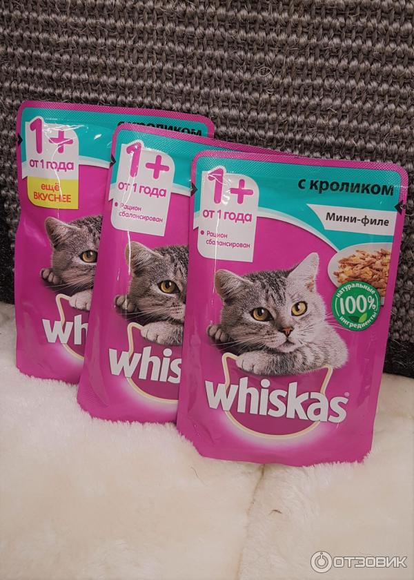 Особенности корма Whiskas для кошек