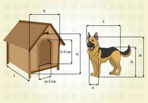Будка для собаки своими руками: чертежи и размеры