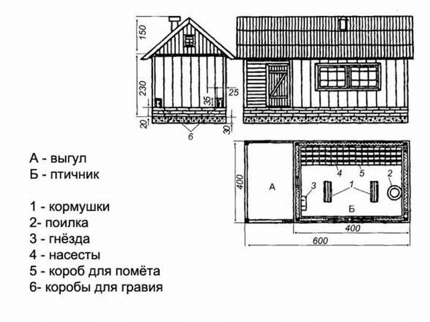 Голубятни внутри устройство фото