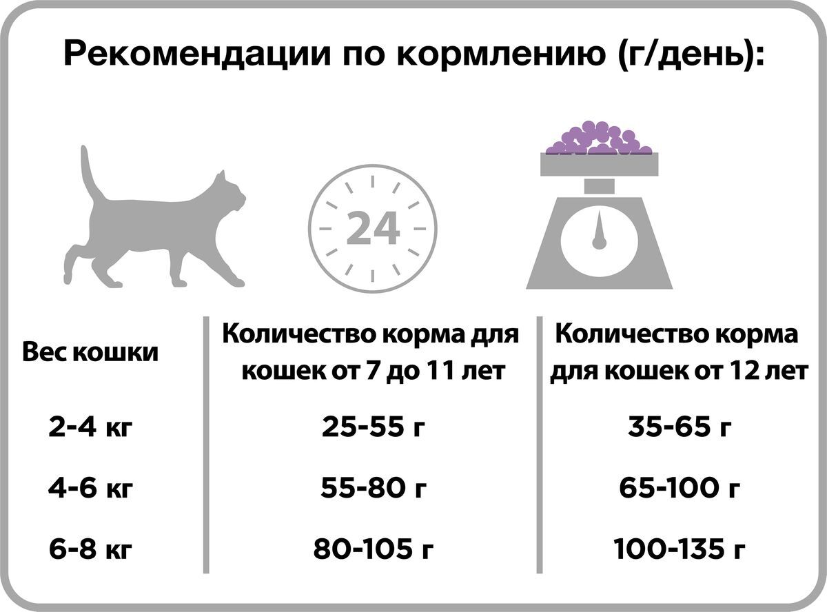 Нормы кормления кошек и котов сухим и влажным кормом