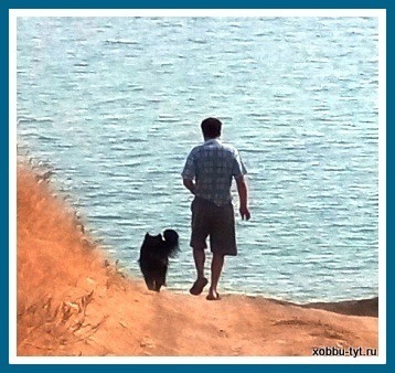 Отдых на море с собакой: куда поехать, частный сектор