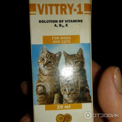 Виттри 1 – комплекс для кошек и котов