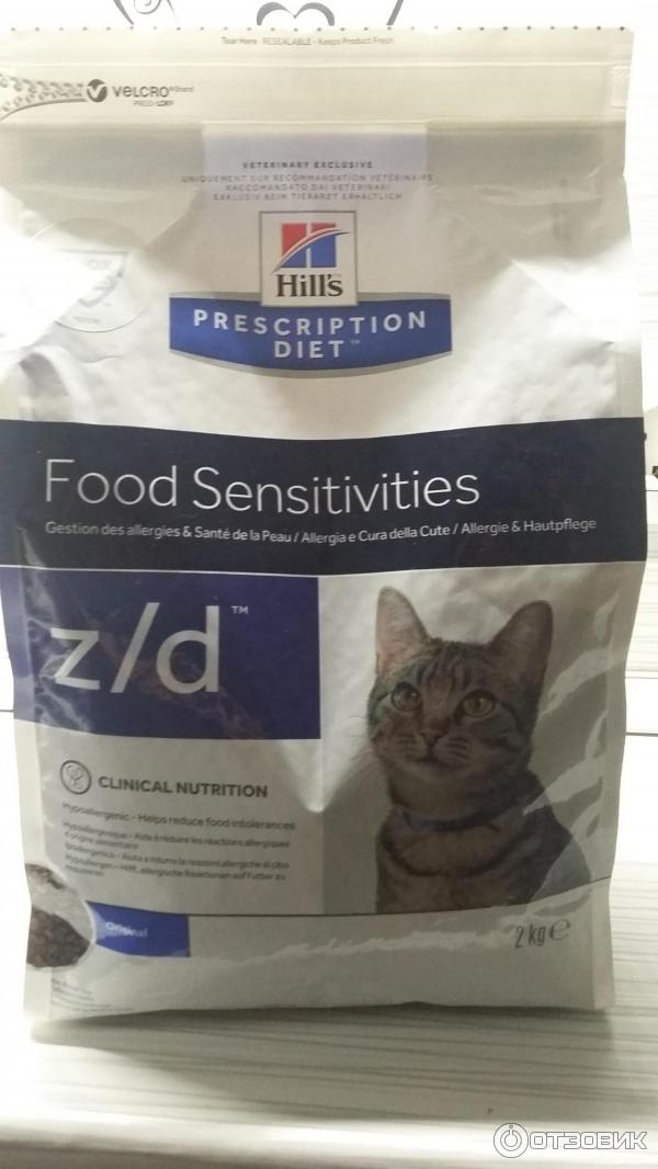 Гипоаллергенный корм для кошек: какой лучше