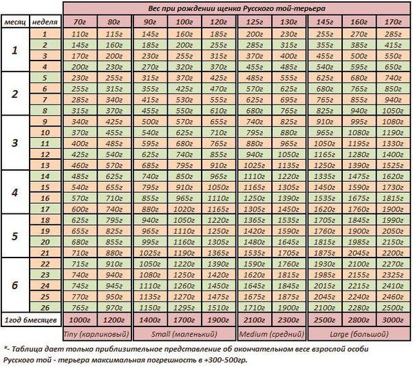 Вес йорка по месяцам: таблица, стандарт, до скольки месяцев растут