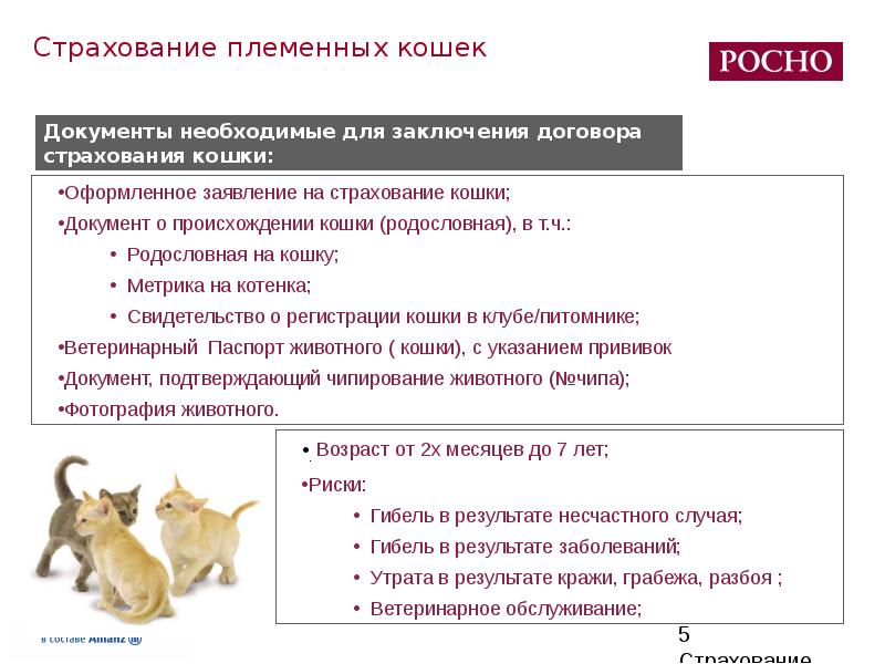 Обязательное страхование животных