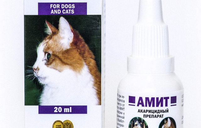 Ушной клещ у кошек: капли, лечение, эффективные препараты