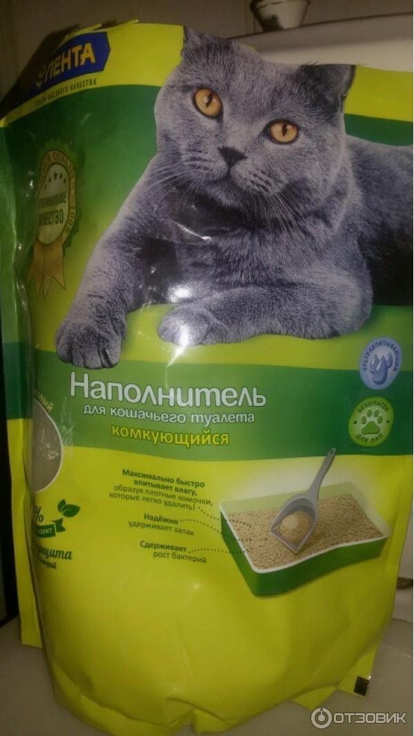 Котенок ест наполнитель для туалета: что делать