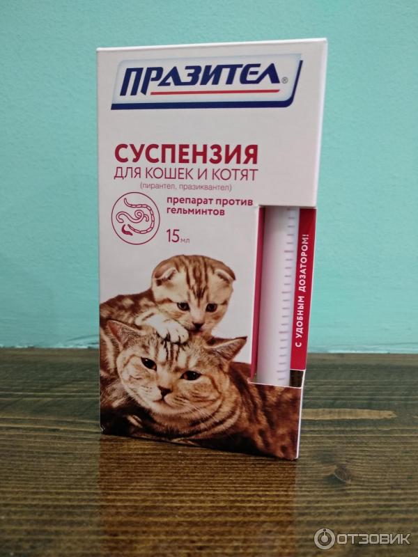 Таблетки от глистов для кошек: глистогонные препараты