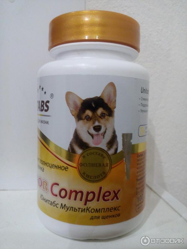 Витамины для собак и щенков мелких и крупных пород