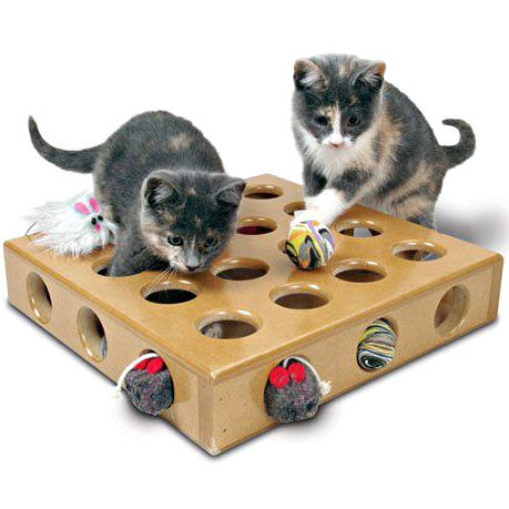 Игрушки для кошек: развивающие интеллектуальные изделия