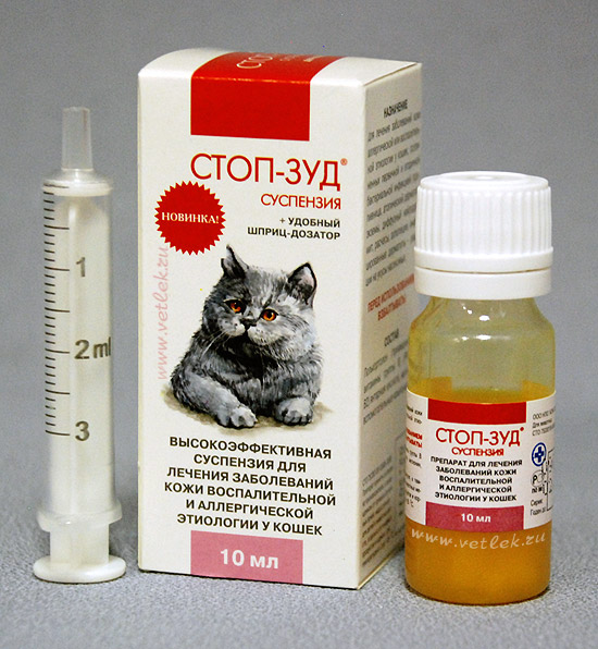 Лишай у кошек: препараты для лечения