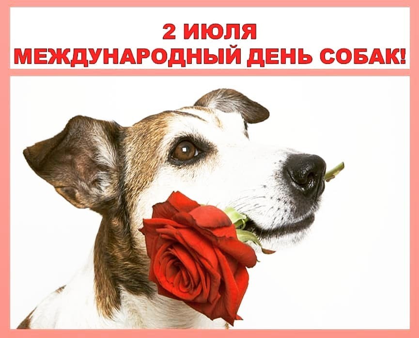 Международный день собак в России: какого числа