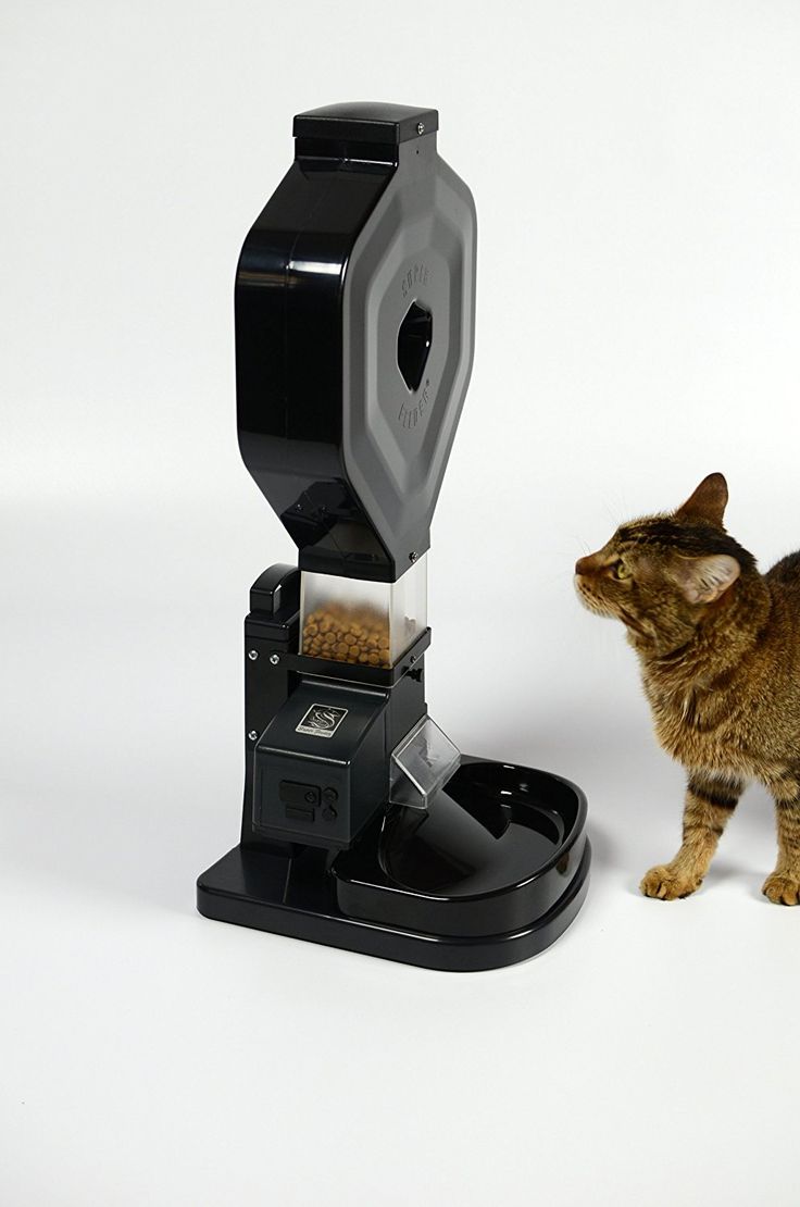 Автоматическая кормушка для кошек с таймером
