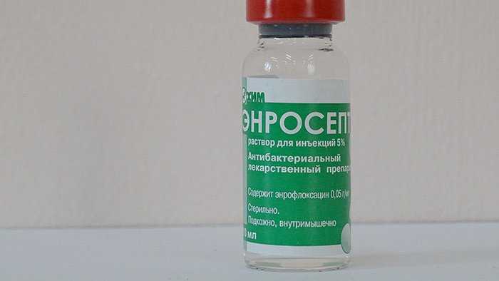 Энросепт для кошек
