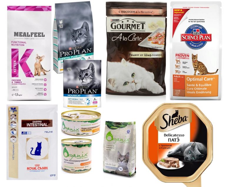Кормление кошек с заболеваниями печени: особенности и полезные рекомендации