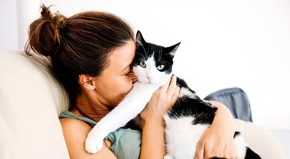 5 действий, которые убедят кошку в вашей любви