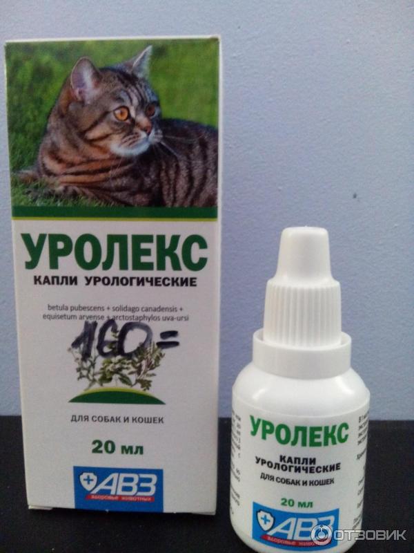 Препарат Уролекс при мочекаменной болезни у кошек