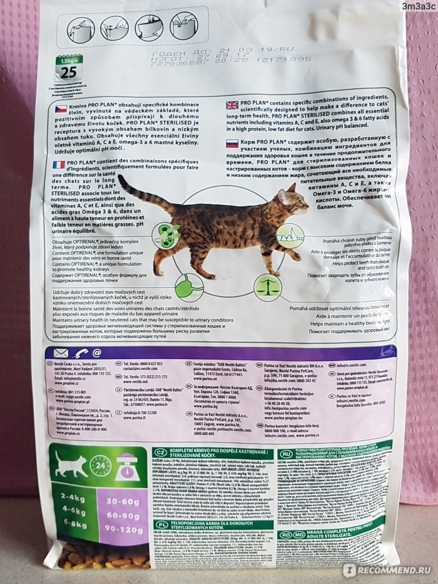 Обзор корма «Проплан» от «Пурина» для кошек