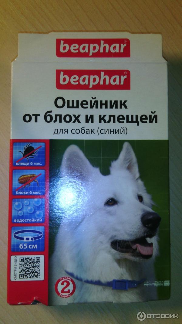 Ошейники от блох и клещей для собак
