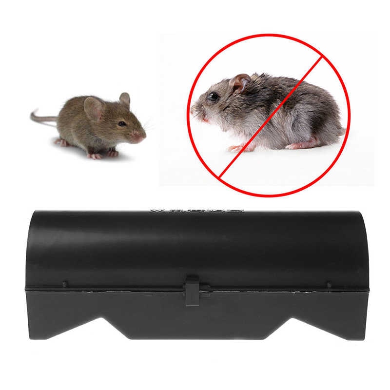 Собака-крысолов: какие породы ловят крыс и мышей