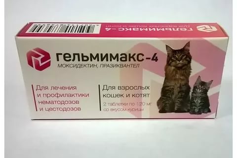 Препарат Гельмимакс: надёжное средство от паразитов у кошек