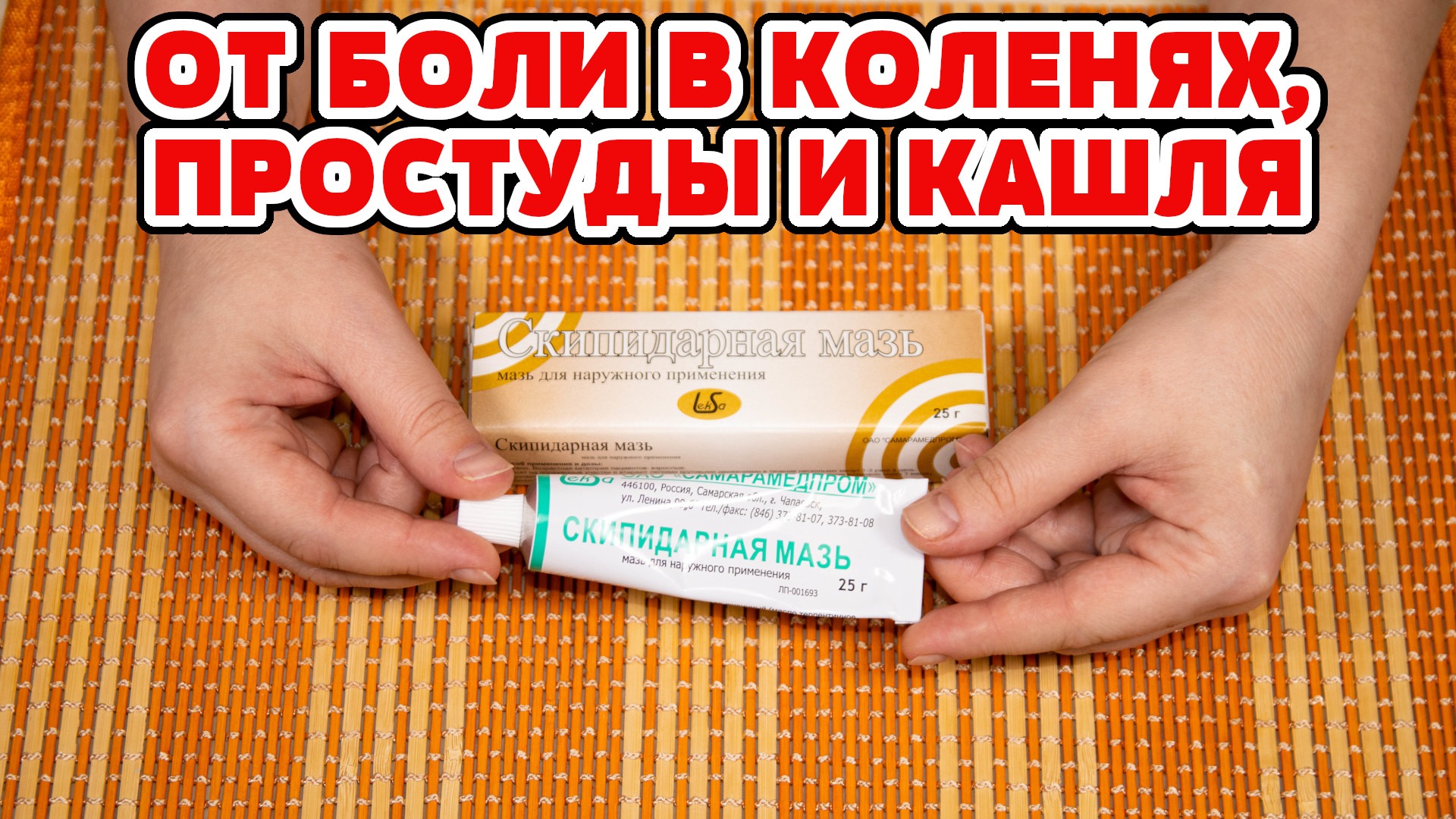Как избавить кошку и котят от блох