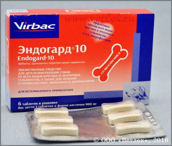 Эндогард для собак