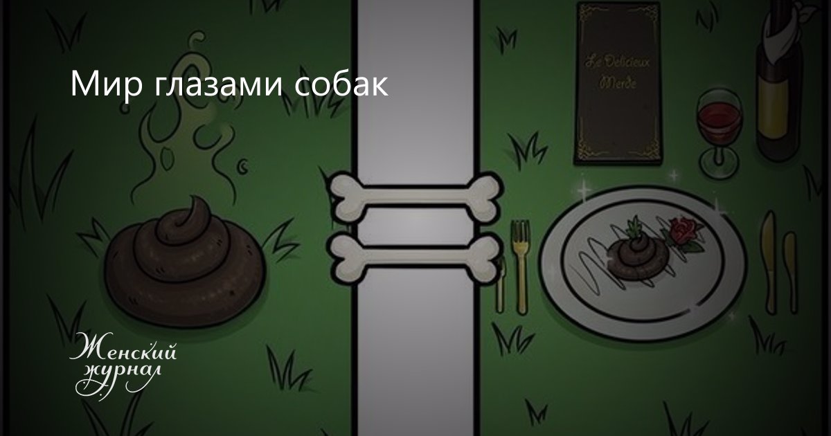 Мир глазами собаки