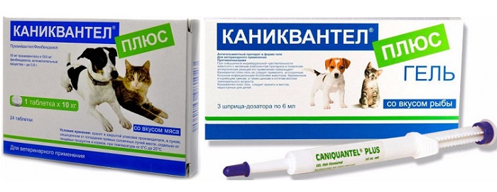 Борьба с гельминтами: обзор ветеринарного препарата Каниквантел Плюс
