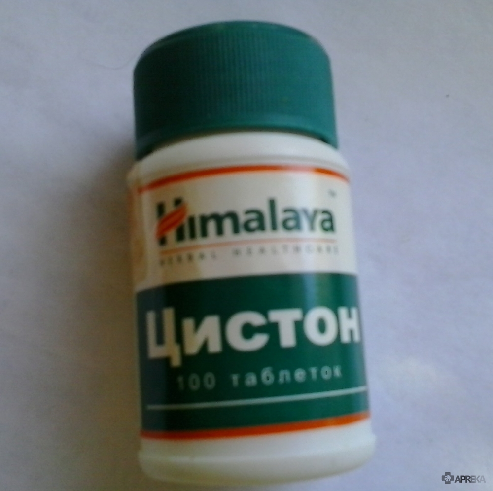 Цистон для кошек