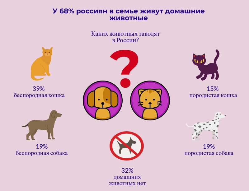 Девять жизней: составлен рейтинг самых частых болезней кошек и собак