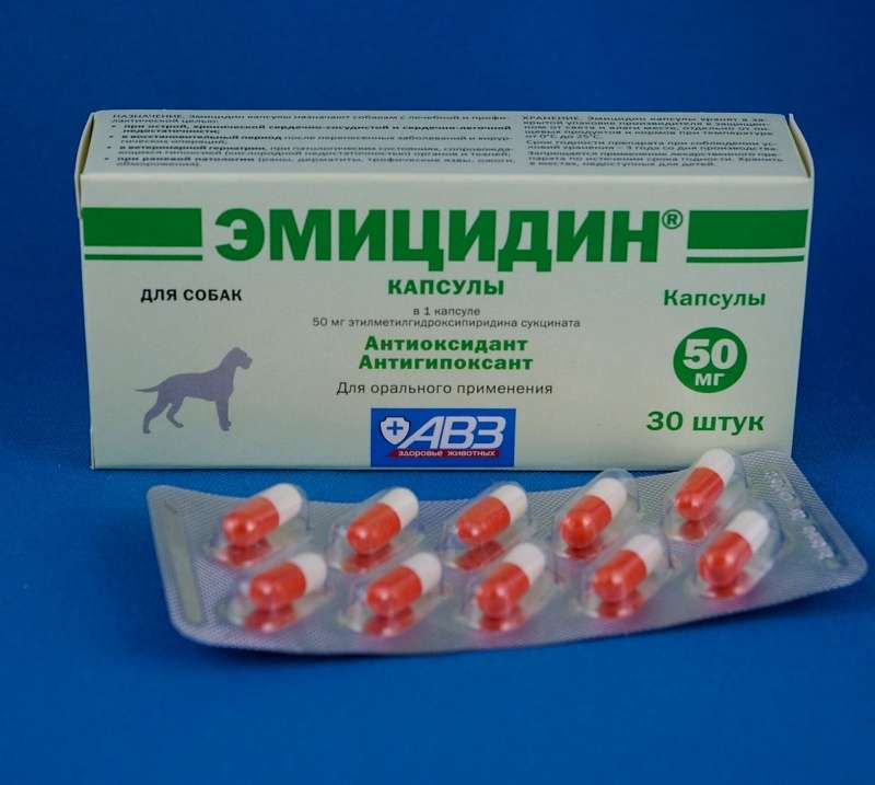 Препарат Эмицидин: эффективное средство для восстановления организма кошки