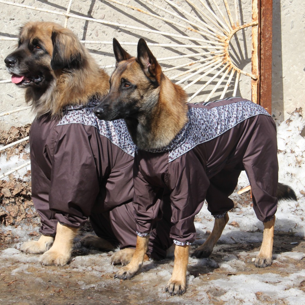 Одежда для больших собак крупных пород