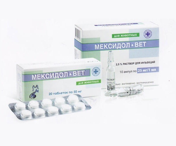 Инструкция по применению антиоксиданта Мексидол-Вет