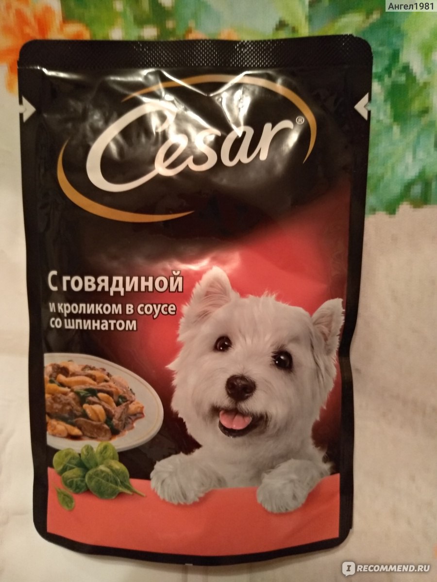 Корм Цезарь для собак в пакетиках: обзор
