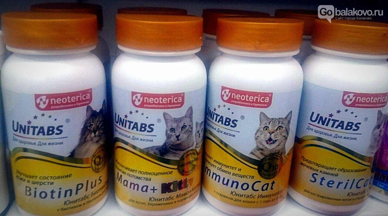 Нужны ли кошкам и котам витамины?